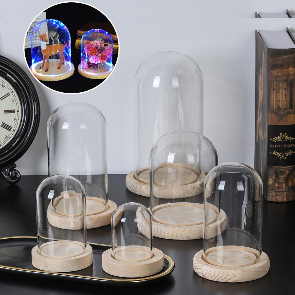 ホームデコレーション植物用ガラス瓶テラリウム、ガラス花瓶、防 - Home Decor Glass のレビューと価格