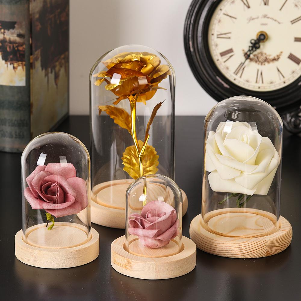 ホームデコレーション植物用ガラス瓶テラリウム、ガラス花瓶、防 - Home Decor Glass のレビューと価格