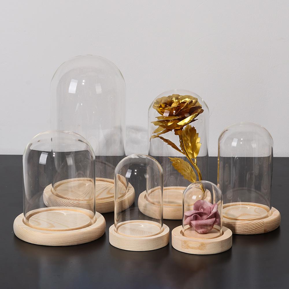 ホームデコレーション植物用ガラス瓶テラリウム、ガラス花瓶、防 - Home Decor Glass のレビューと価格